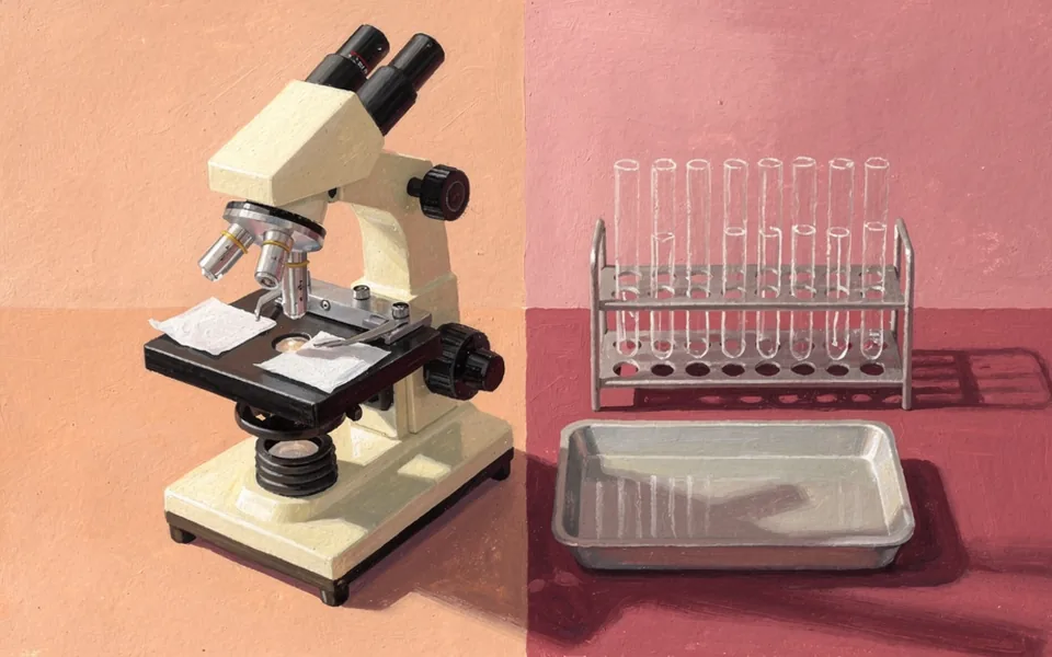 A microscope, tissue slides and an assay tray arranged on adjoining laboratory work surfaces